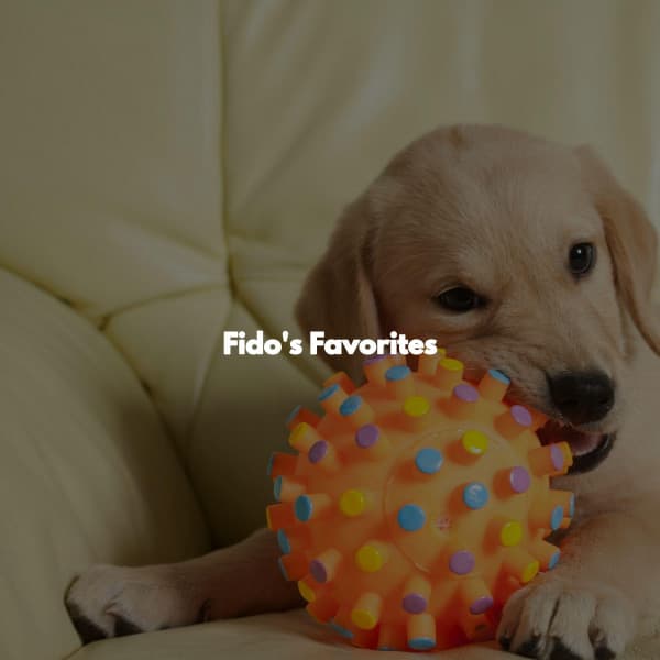 Fido's Favorites - Jazz for Work