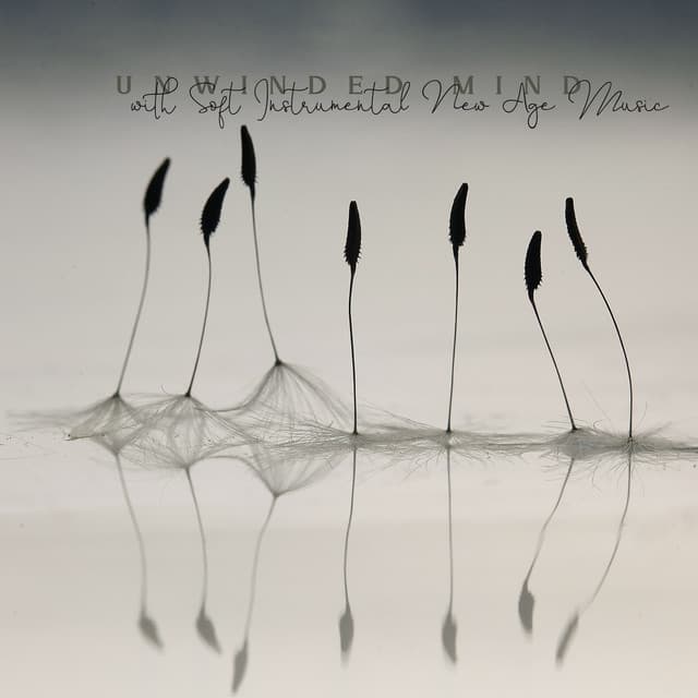 Unwinded Mind with Soft Instrumental New Age Music . Deep Rest, Bedtime Relaxation, Sleep & Nap, Work & Study Break - Sweet Musical Escape