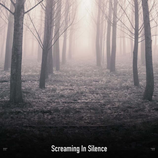 !!!!" Screaming In Silence "!!!! - Halloween Music