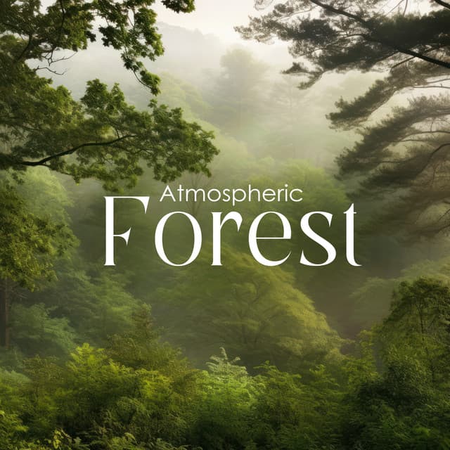 Zen Forest Collection