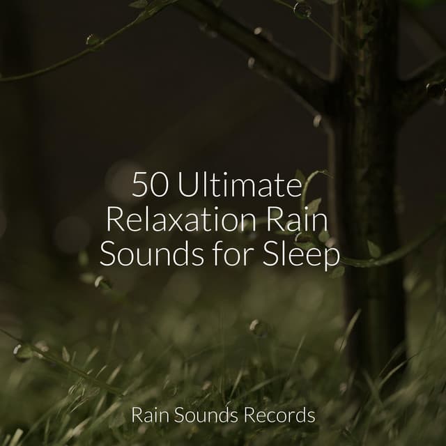 50 Ultimate Relaxation Rain Sounds for Sleep - Relaxing Music