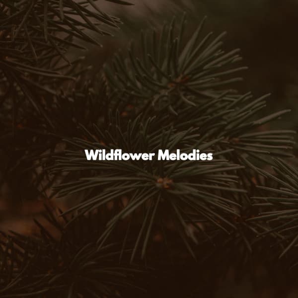 Wildflower Melodies - French Cafe Jazz Trio