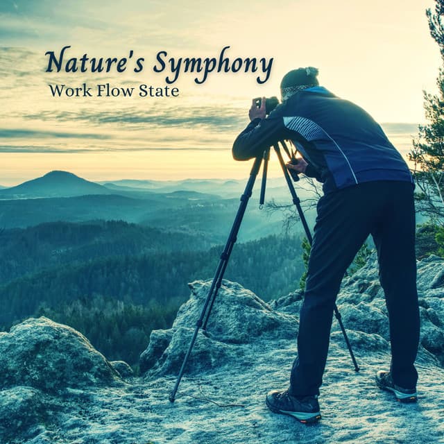 Nature's Symphony: Work Flow State - Mother Nature Recordings