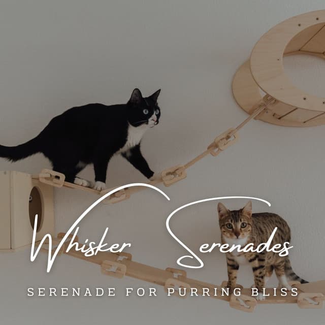 Piano Whisker Serenades: Harmonic Cat Melodies - Best Piano Bar Ultimate Collection