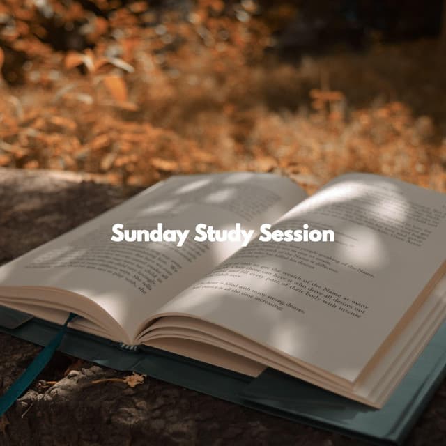 Sunday Study Session - Cafe Jazz