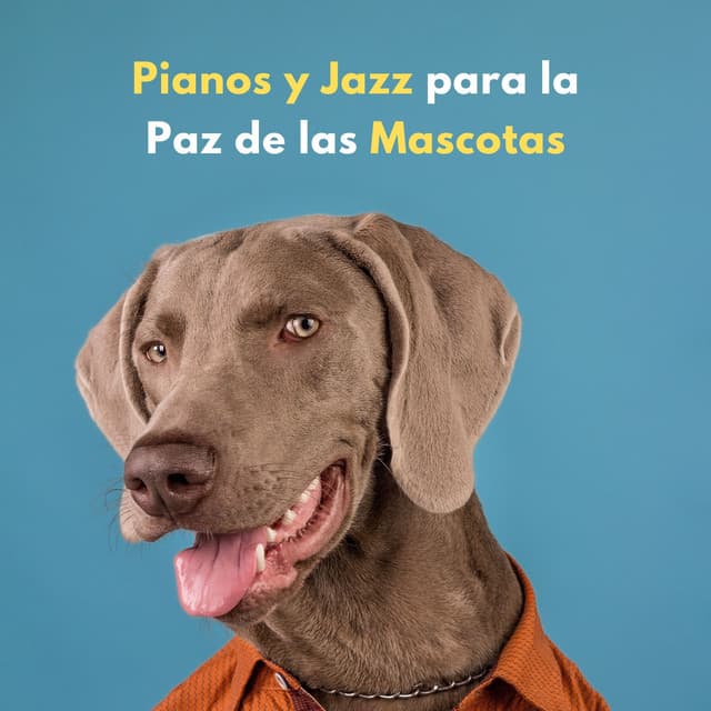 Pianos Y Jazz Para La Paz De Las Mascotas - Colección Piano Jazz