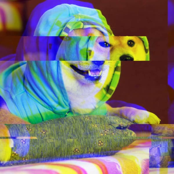 Music for Classic Hounds - Jazz Quintet - Doggy Music Radio