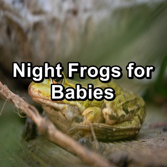 Night Frogs for Babies - Frog Sounds