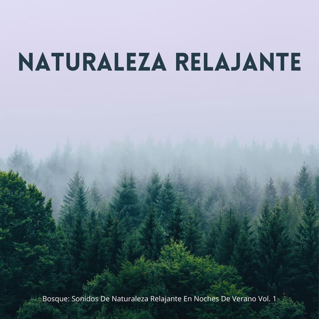 Bosque: Sonidos De Naturaleza Relajante En Noches De Verano Vol. 1 - Sonidos Del Bosque