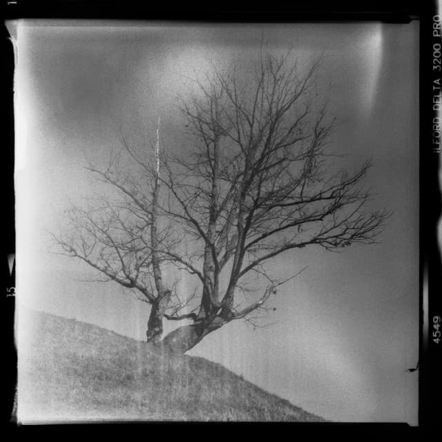 1 AM Chill: Euphoria Unlocked - 16 Bit Serenity