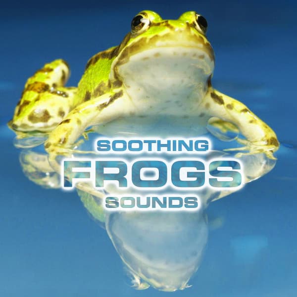 Soothing Frogs Sounds - National Geographic Nature Sounds