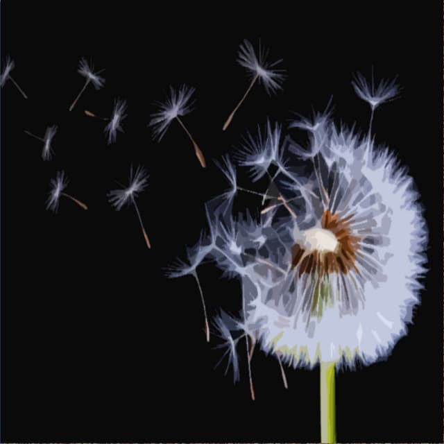 Soothing Winds of Change - White Noise Alternatives