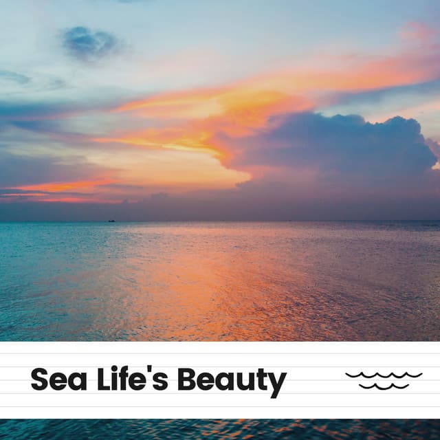 Sea Life's Beauty - Stress Relief Calm Oasis