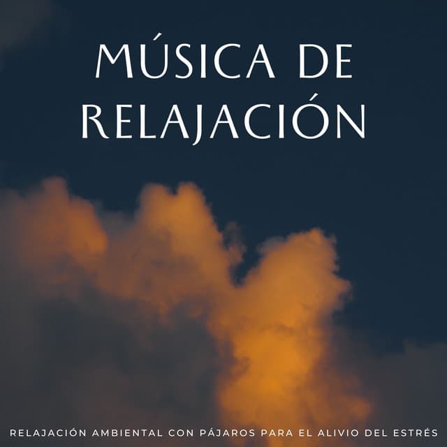Música De Relajación: Relajación Ambiental Con Pájaros Para El Alivio Del Estrés - Música Para Aliviar El Estrés