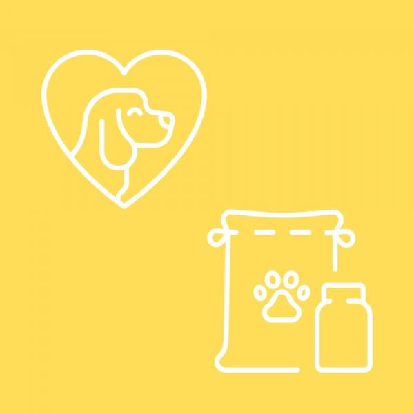 Divine Backdrop for A Gentle Pup - Dog Anxiety Music