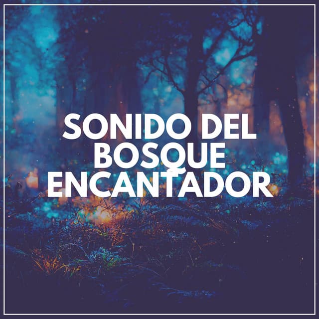 Sonido del Bosque Encantador - Sonidos de la Naturaleza para Dormir