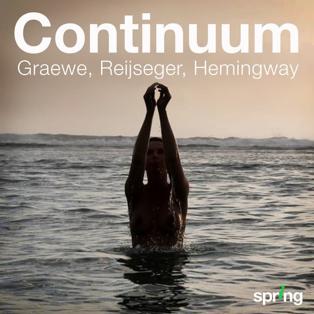 Continuum - Ernst Reijseger
