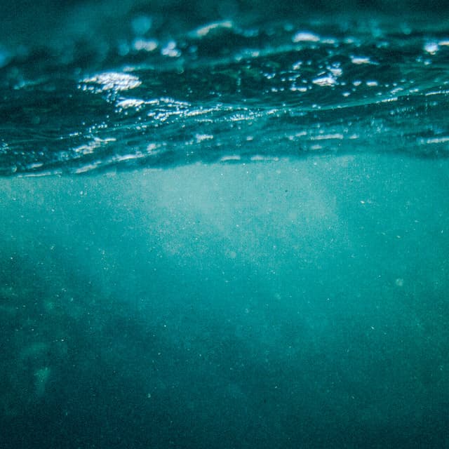 8AM Meditation: Floating Serenity - Coastal Sounds