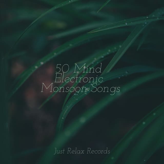 50 Mind Electronic Monsoon Songs - Instrumental