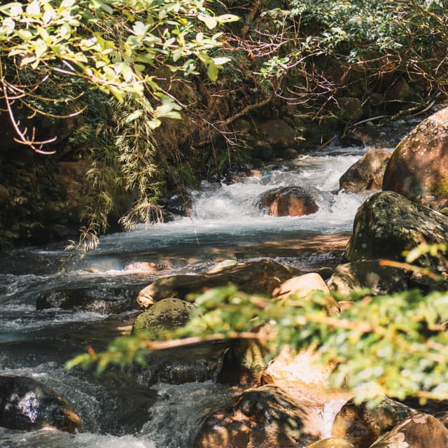 Intellectual Islands: Chill Music Water Flow - Beaches Of Mexico