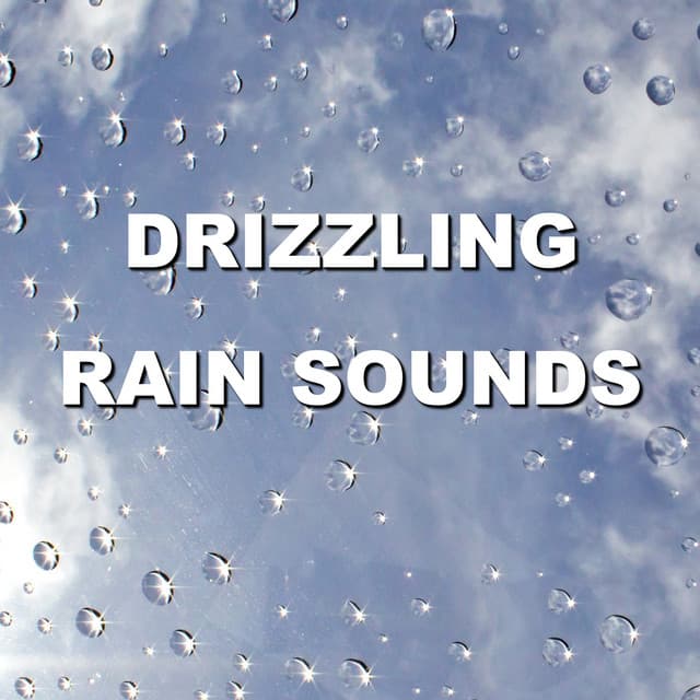 Drizzling Rain Sounds - Wind and Rain Sounds
