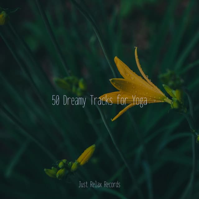 50 Dreamy Tracks for Yoga - Mantra para Dormir