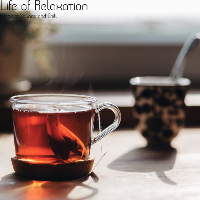 Life of Relaxation - Ambient Sounds and Chill