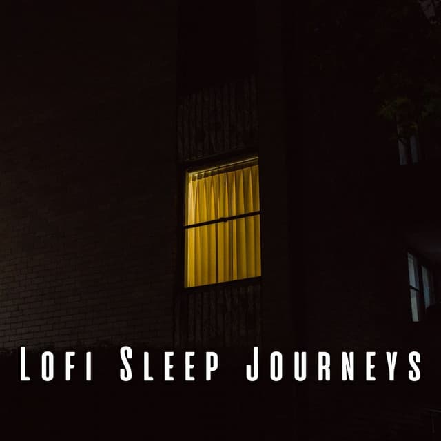 Lofi Sleep Journeys: Serene Ambient Sounds for Calm Nights - Lofi Night Drives