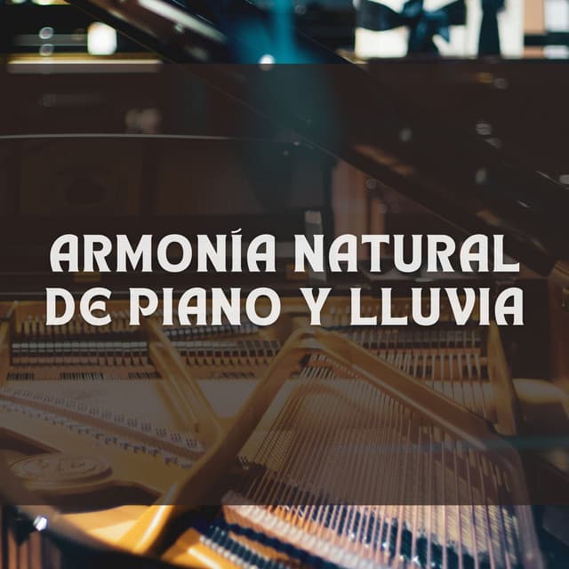 Armonía Natural De Piano Y Lluvia - Lluvia Mozart