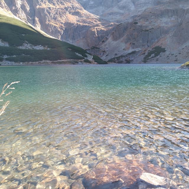 Yellow Mountains - Cozy Coffee Shop