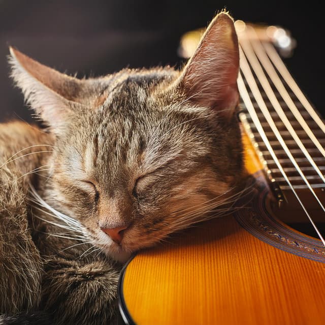 Bigotes Elegantes: Música De Guitarra Para Gatos - Musica Relajante de Guitarra Ritmos