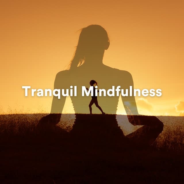 Tranquil Mindfulness - Ambient Relaxation