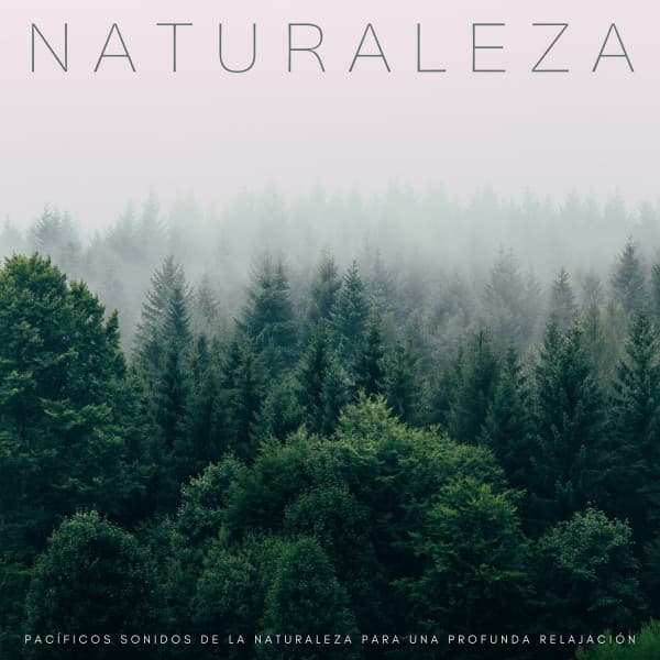 Naturaleza: Pacíficos Sonidos De La Naturaleza Para Una Profunda Relajación - Sonidos de la Naturaleza para Dormir