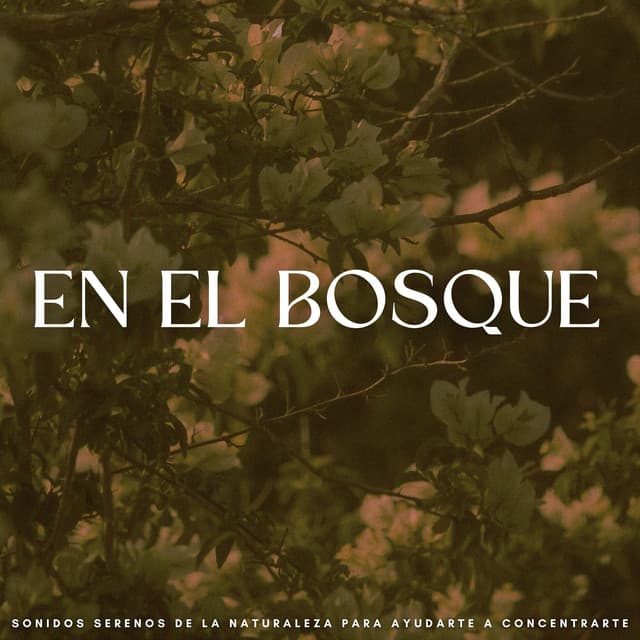 En El Bosque: Sonidos Serenos De La Naturaleza Para Ayudarte A Concentrarte - Biblioteca XLE de sonidos de la naturaleza