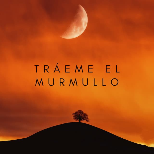 Tráeme El Murmullo - Agradable Musica para Leer