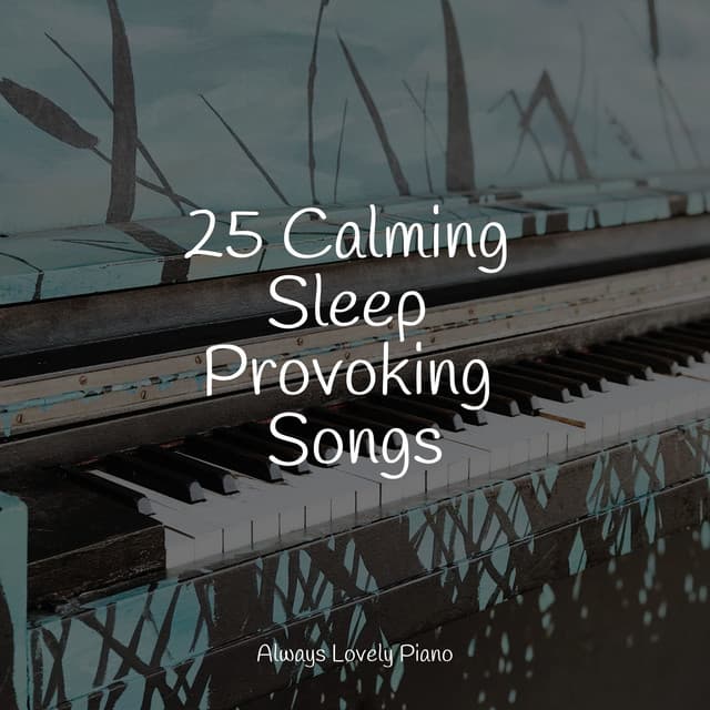 25 Calming Sleep Provoking Songs - Relaxing Piano Club