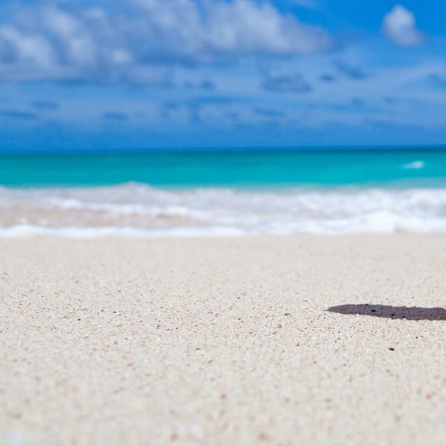 Silent Depths' Slumber Song - Spiritloom