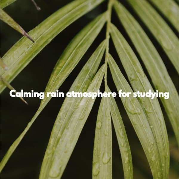 Calming rain atmosphere for studying - Musica para Dormir Jazz