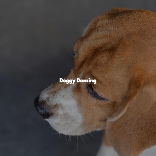 Doggy Dancing - Classic Jazz Chill