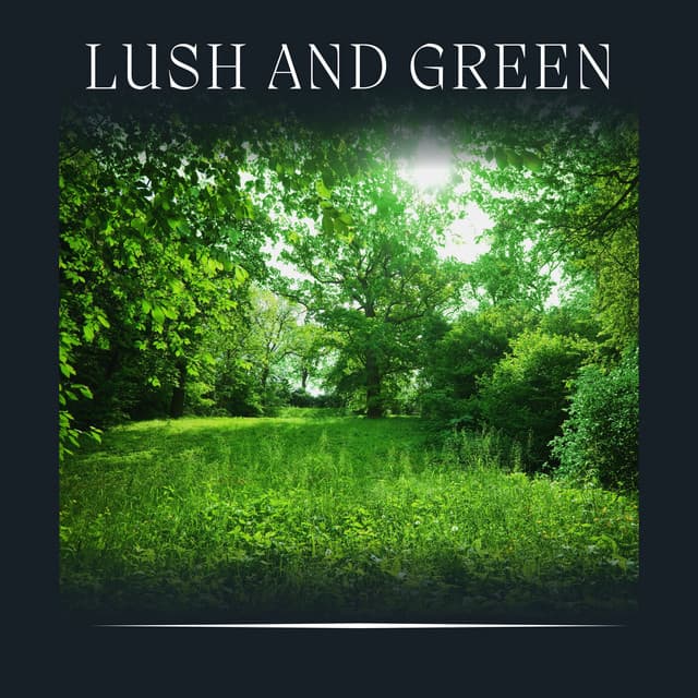 Lush and Green - Organic Sound