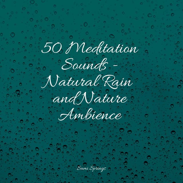 50 Meditation Sounds - Natural Rain and Nature Ambience - Lluvia