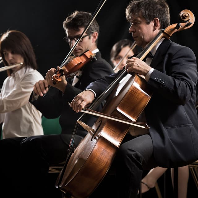 Symphony for Meditation: Relaxing Orchestra Music - Charles Anderson