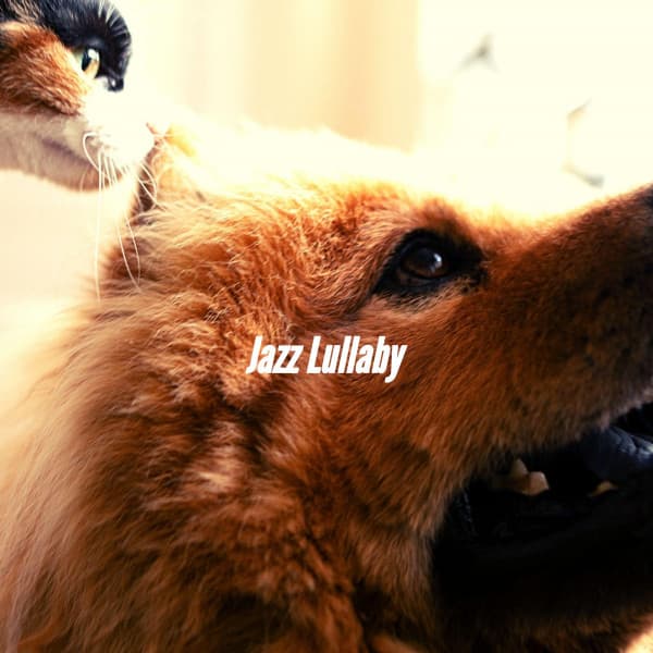 Jazz Lullaby - Home Alone Dog Music