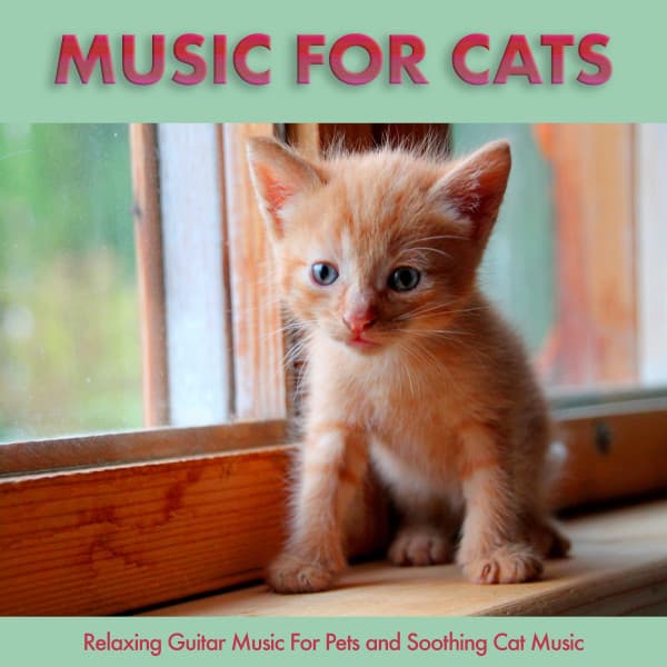Music For Cats: Relaxing Guitar Music For Pets and Soothing Cat Music - Music For Cats