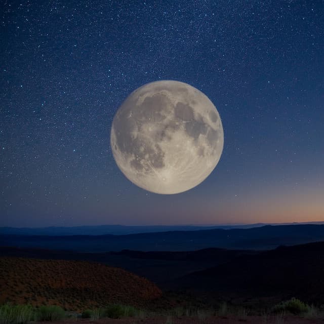 Experiencia musical para dormir profundamente