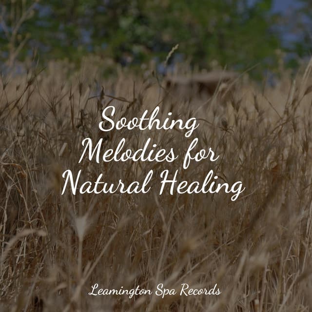 Soothing Melodies for Natural Healing - Natureza Musica Bem-Estar Academia
