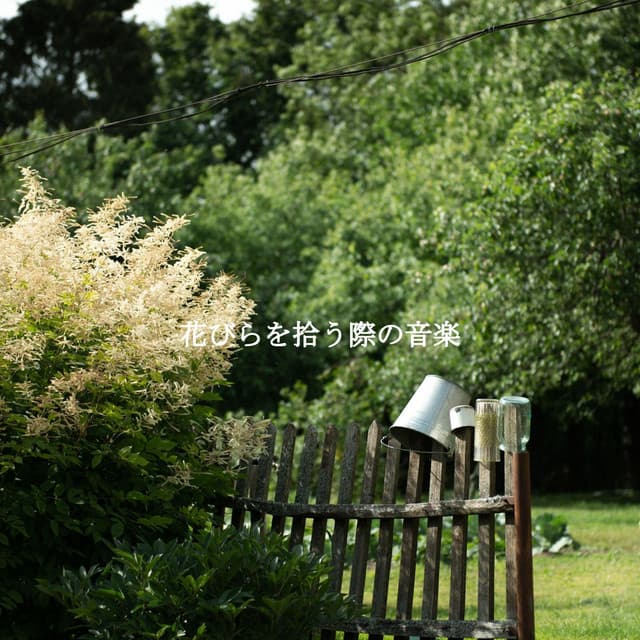 花びらを拾う際の音楽 - Jazz Lounge Bar Radio