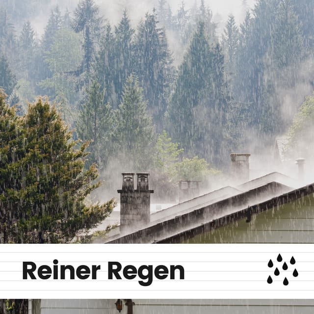 Reiner Regen - Regen zum Schlafen