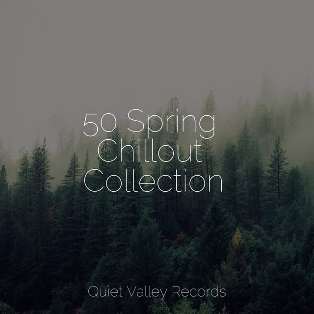 50 Spring Chillout Collection - Deep Sleep FX