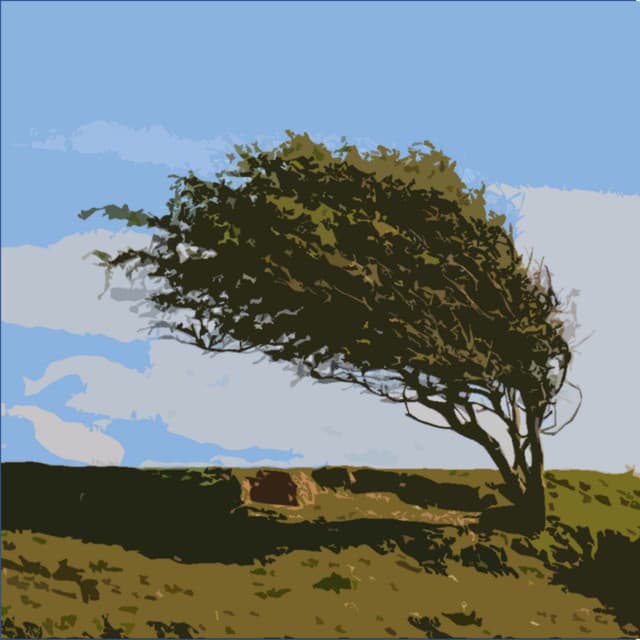 Wind and Rain for Background Sounds and Natural White Noise - White Noise Sleep Machine